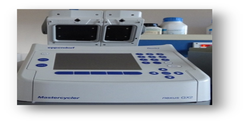 Thermal Cycler-PCR