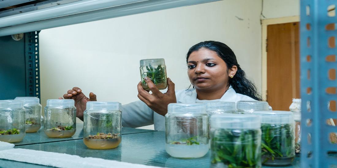 Department of Botany Bharathiar University Coimbatore