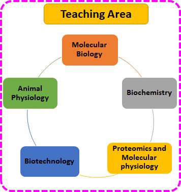 Focusing area of Teaching 